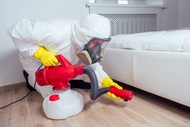 Wasp Removal Services in Burnsville, NC